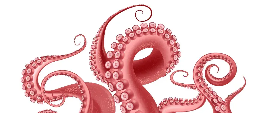 Banner de Sabrositos del mar