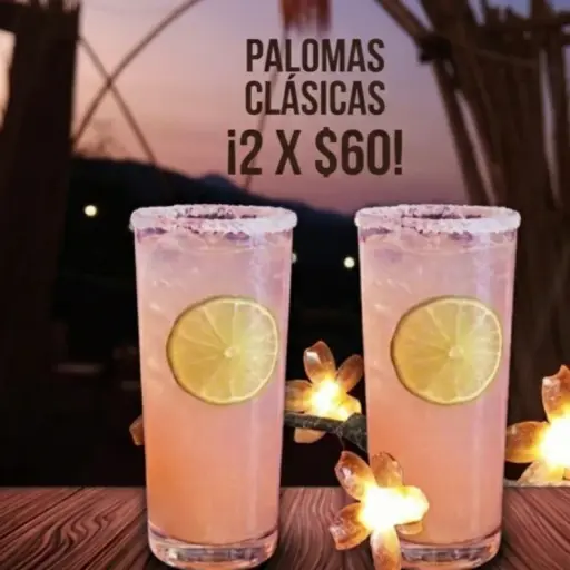 Paloma Clásica